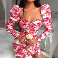 Shirt sleeve printed casual net red dress